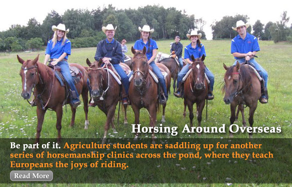 Horsing Around Overseas Be part of it. Agriculture students are saddling up for another series of horsemanship clinics across the pond, where they teach Europeans the joys of riding. 